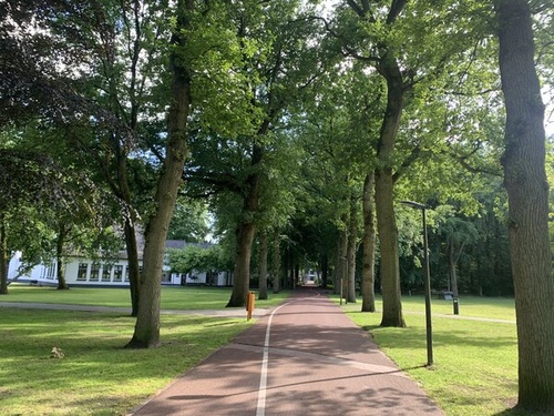 Relatietherapeut op basis van de polyvagaal theorie (regulering autonome zenuwstelsel) in Driebergen