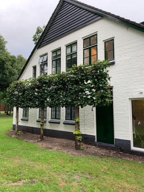 Relatietherapeut op basis van de polyvagaal theorie (regulering autonome zenuwstelsel) in Driebergen